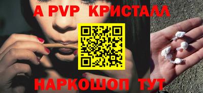 тгк Гай