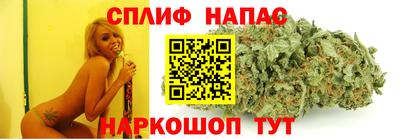 тгк Гай