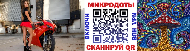 Псилоцибиновые грибы Psilocybe  где продают   Амурск 