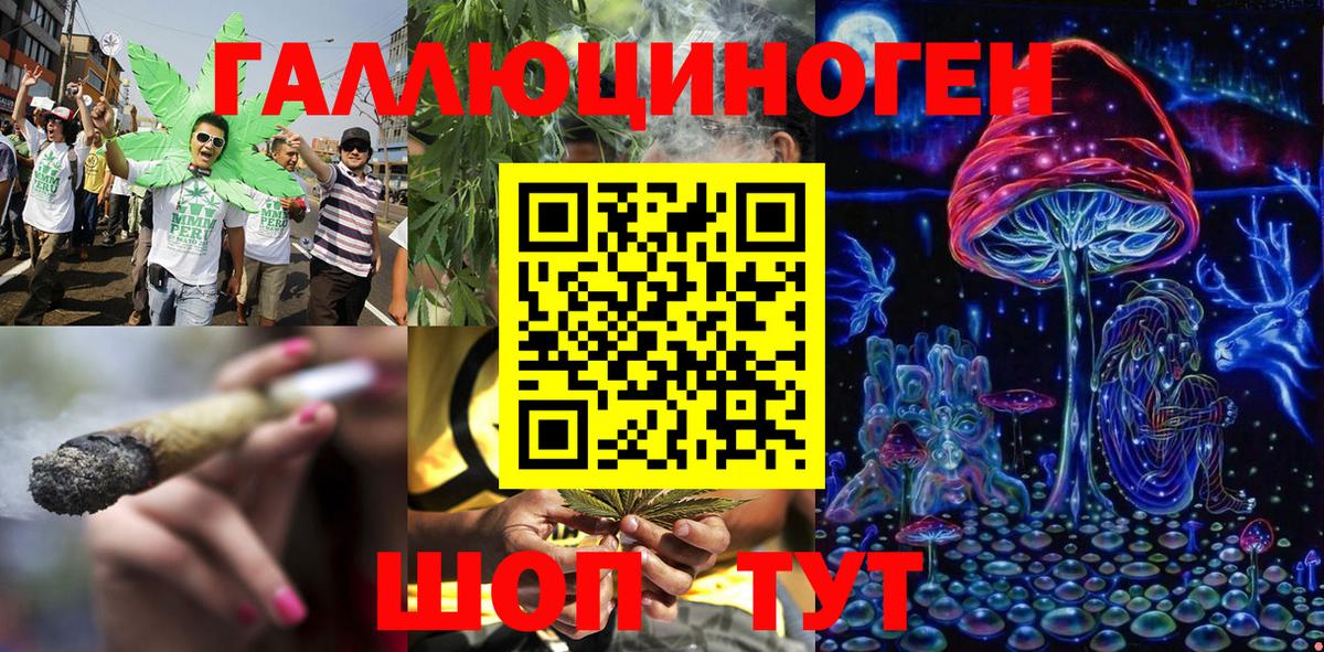 цена наркотик  Амурск  Псилоцибиновые грибы Psilocybe 