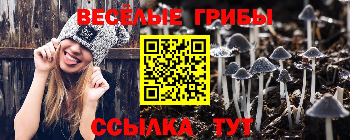 Псилоцибиновые грибы Magic Shrooms Амурск