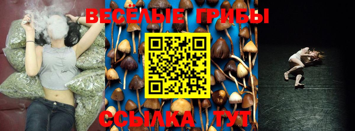 Псилоцибиновые грибы Magic Shrooms Амурск