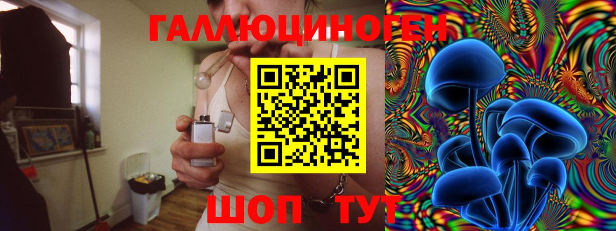Галлюциногенные грибы GOLDEN TEACHER Амурск