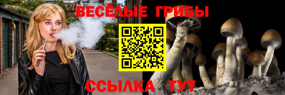 Псилоцибиновые грибы мухоморы  Вход с VPN  Амурск  Псилоцибиновые грибы Psilocybe 